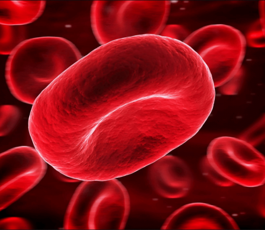 7 Facts To Know About Thalassaemia Thalassaemia