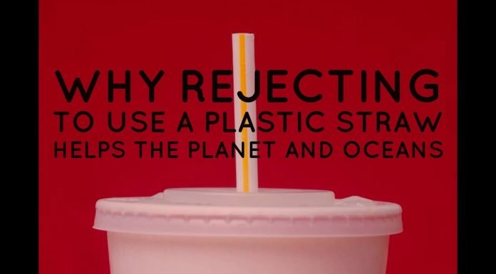 Watch: Why Rejecting To Use A Plastic Straw Helps The Planet And Oceans