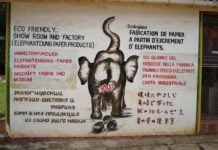 Take A Look At The Elephant Poop Paper Innovators Making Eco-Friendly Paper