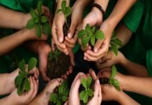 Rs. 50 To School Students For Planting Trees