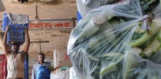 Maharashtra Plastic Ban