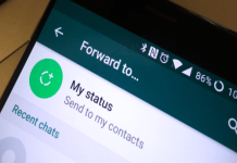 If You Love Forwarding Messages On WhatsApp, Then You Should Know About Its Latest Updates