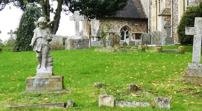 Genealogy Tourism: A New Form of Tourism Which Helps You Trace Your Ancestors