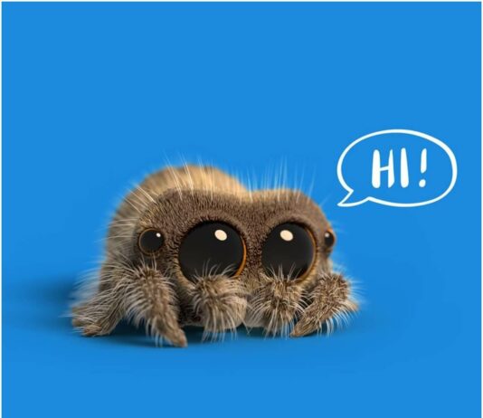 Should You Feel Bad About Killing Spiders, Ants or Bugs? Our Bloggers Argue Over FlippED Killing spiders