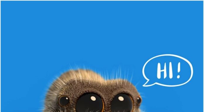 Should You Feel Bad About Killing Spiders, Ants or Bugs? Our Bloggers Argue Over FlippED Killing spiders