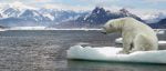 polar-bear-global-warming-678×289
