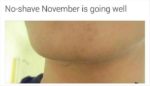 no-shave-november-compressor