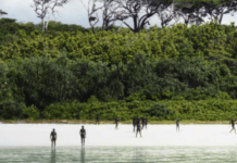 The Reason Why The Sentinelese Andaman Tribe Is So Hostile And Isolated Is This Creepy Britisher