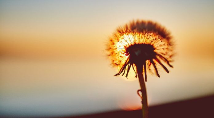 LivED It: I Attended A Funeral “Party” In India & I’m Overwhelmed