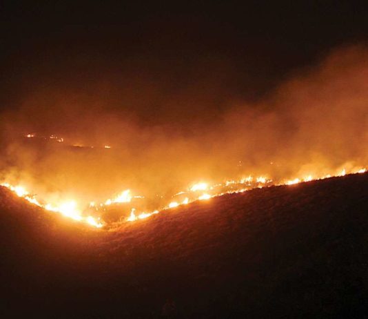 Mumbai Aarey Forest Fire: People Are Furious Over How The Govt. Allegedly Planned This Conspiracy To Grab Land