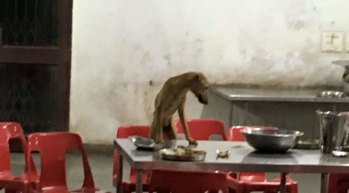 Colleges In India Lack Basic Sanitation And Cleanliness: Students Show What They Deal With