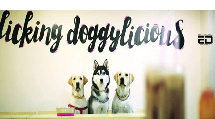 Watch: Get Paw-ed At Delhi’s Favourite Pet Friendly Cafes: Here’s A List pet friendly
