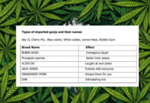 Delhi Police Hilariously Explains Weird Effects Of Smoking Imported Ganja (Marijuana)