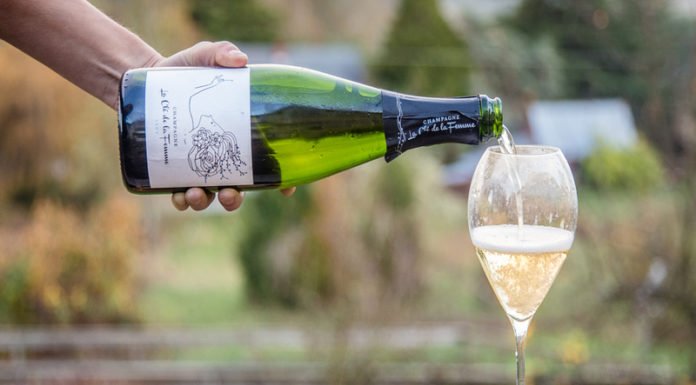 In Pics: Decoding Wine For Dummies – All You Need To Know About The Beverage