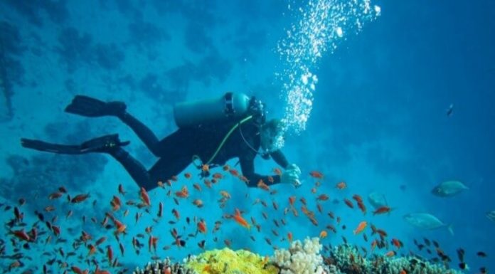 How My First Experience Of Scuba Diving Changed The Way I Look At Life