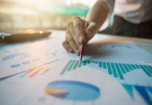 How To Go About Eco Hons As A Fresher in DU: All You Need To Know