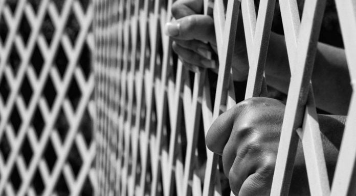 FlippED: If One Claims To Be Mentally Ill, Should They Be Pardoned For Heinous Rape And Murder Charges?