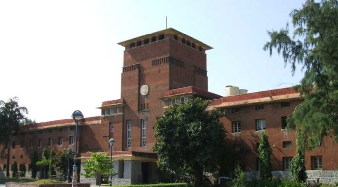 How To Make The Most Of Your Final Year In DU For Life After College