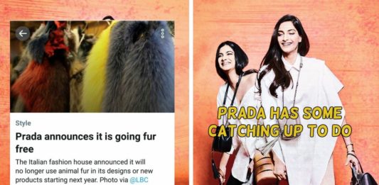 prada fur free