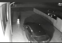 Why Is Everybody Talking About Harry Potter’s Dobby Suddenly?