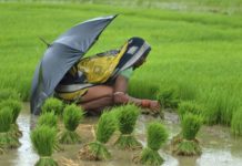 4500 Young Women Have Got Their Wombs Removed As It’s Seen As A Hurdle To Income In This District