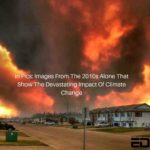 In Pics: Images From The 2010s Alone That Show The Devastating Impact Of Climate Change