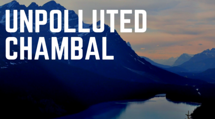 Watch: How Did The Infamous Chambal River Remain Unpolluted Unlike The Ganga & Yamun