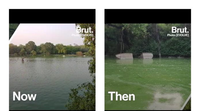 Two Engineers Revive The Hauz Khas Lake From A Sewage Dump Using Brilliant Techniques hauz khas lake