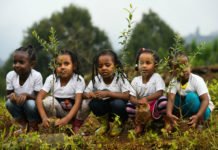 Ethiopia Planted 350 Million Trees In Just 12 Hours And Nobody’s Talking About How They Did It
