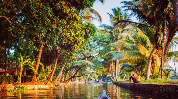 In Pics: Here Are Some Simple Yet Effective Natural Beauty Products From Kerala