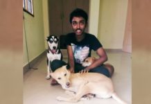 Chennai Boy Starts Animal Shelter, Has Rescued Over 200 Animals