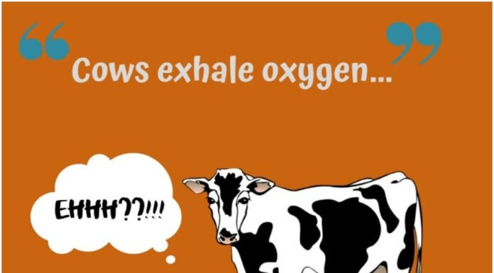 ED VoxPop: What Do Millennials Think About Indian Politicians Who Publicly Give Foul Statements?