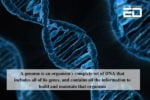 India has recently concluded its 6 month pilot genome sequencing project, called the IndiGen Project