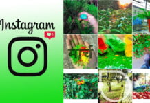 How To Make Your Instagram Page Look Like A Professional’s Portfolio In 9 Days