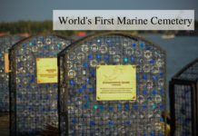 marine cemetery