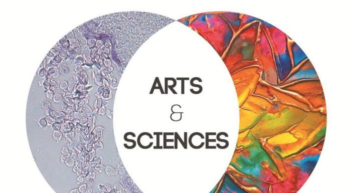 Why Do I Feel That My Shift From Science To Arts Has Made Me A Better Person?