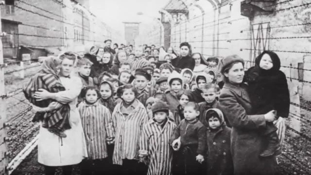 holocaust stories