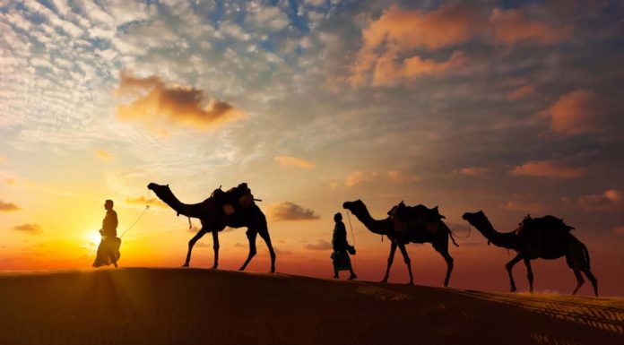 Bikaner, The Land Of Bhujia And Rasgulla Midst The Sand Dunes In Rajasthan