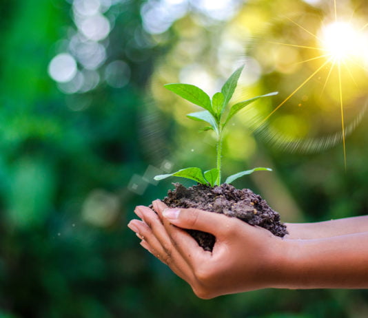 indian environmentalists