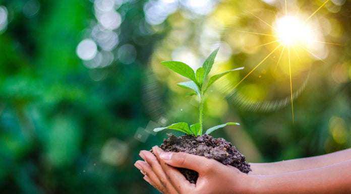 Watch: 5 Indian Environmentalists Who Are Working To Make The World A Better Place indian environmentalists