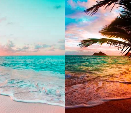 In Pics: 5 Most Beautiful Beaches In India