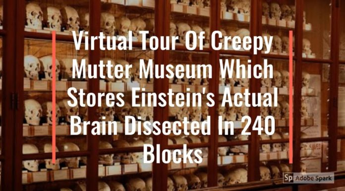 Watch: Virtual Tour Of Creepy Mutter Museum Which Stores Einstein’s Actual Brain Dissected In 240 Blocks