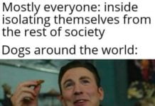 These Lockdown And Social Distancing Memes From Around The World Are Simply Gold