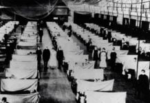 Lessons Learnt From Past Pandemics That Can Be Put To Use Now