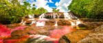 Cano-Cristales-river-Colombia-SLIDER (1)