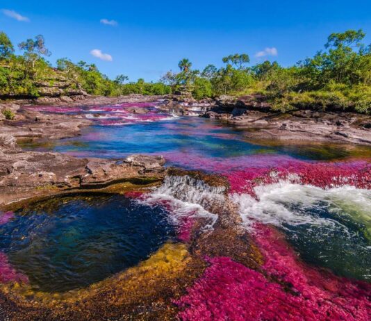 The Most Beautiful River In The World Is A Breathtaking Combination Of Colours Most Beautiful River