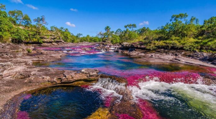 The Most Beautiful River In The World Is A Breathtaking Combination Of Colours Most Beautiful River