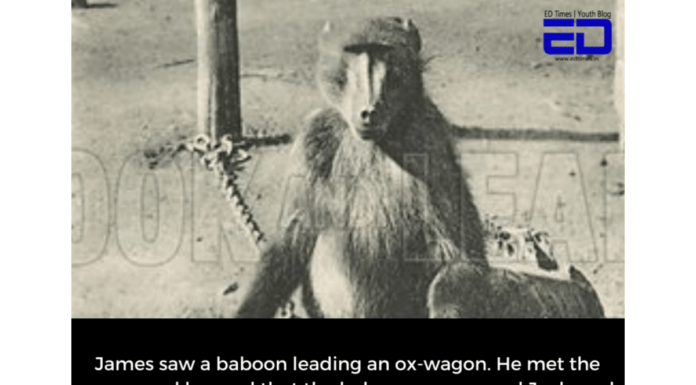 In Pics: In 1800, A Baboon Worked For The Railroad—And Never Made A Mistake
