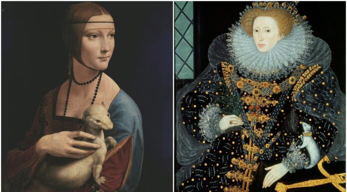 Weasels Gave Clues About Sex Life Of Models In Renaissance Paintings