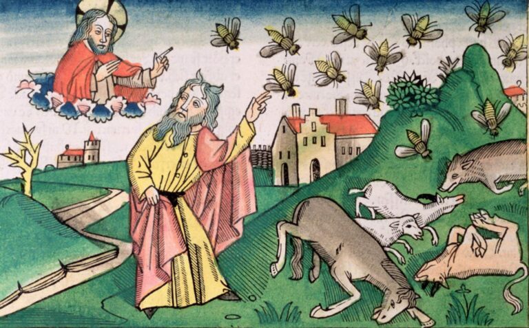 will-the-10-biblical-plagues-come-true-locusts-climate-change-and